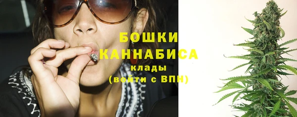 кокс Бородино