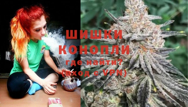 кокс Бородино