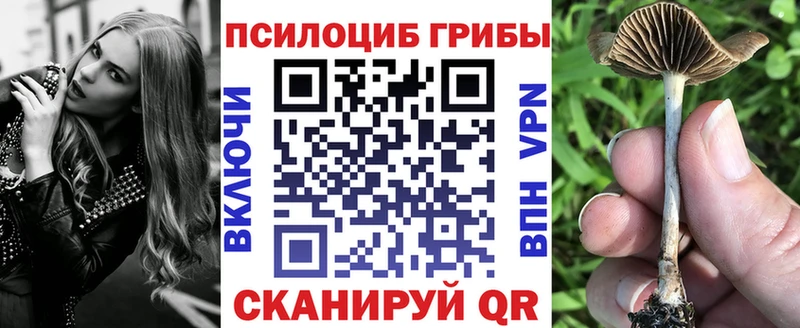 Галлюциногенные грибы мухоморы  Купить  Беломорск 